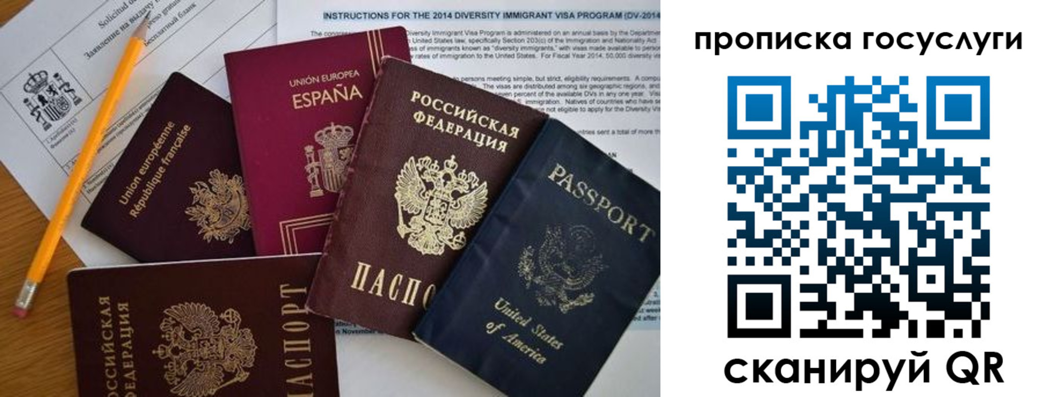 прописка гарантия в Исилькуле